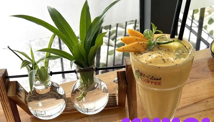 Kozy Land Coffee -  Thuc Pham Va Do Uong - Quảng Nam
