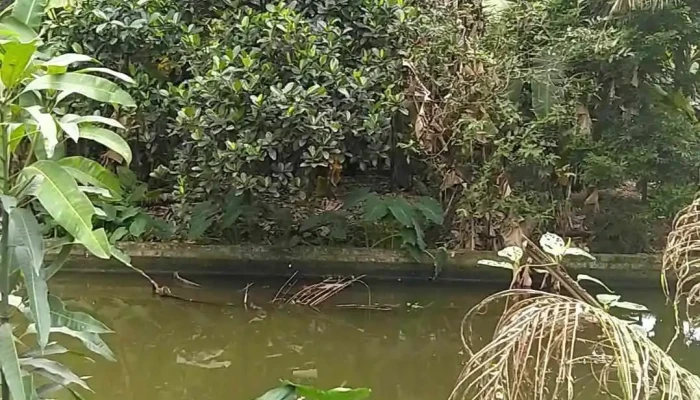 Ky Son Video - Nghệ An