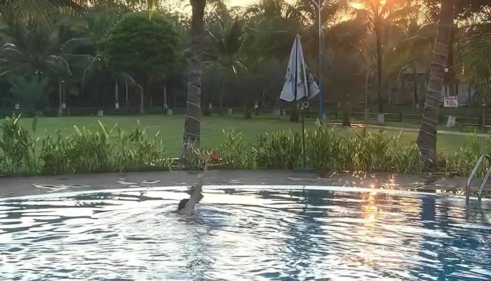 Ladona Farmstay -  Moi Nhat - Bình Phước