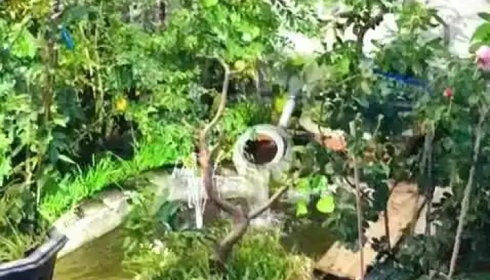 Lagi 1001 Nights -  Video - Bình Thuận