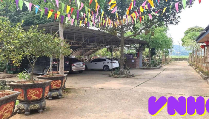 Lâm Viên Thủy Hoa - Võ Lao