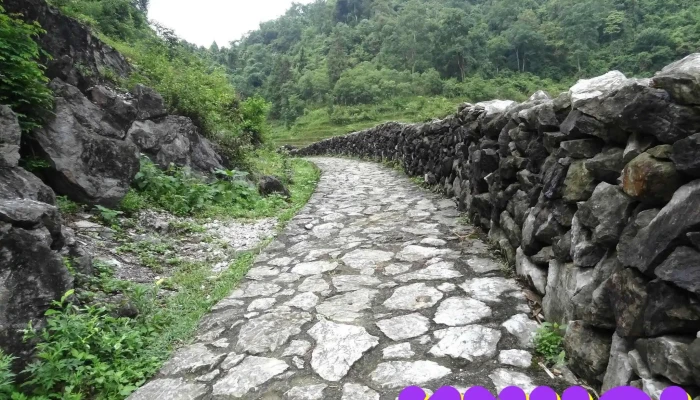Lan Khuoi Nam Nui - Cao Bằng