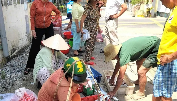 Lang Bich Hoa Tam Thanh Moi Nhat - Quảng Nam