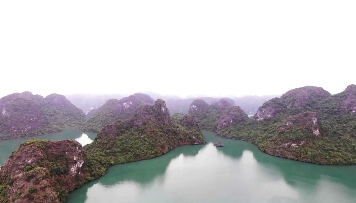 Lang Chai Tra Bau Che Do Xem Pho Va 360deg - Hải Phòng