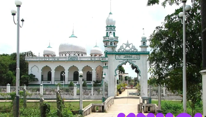 Lang Cham Tan Chau Phong Tat Ca - An Giang