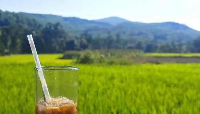 Lang Co Loc Yen Moi Nhat - Quảng Nam