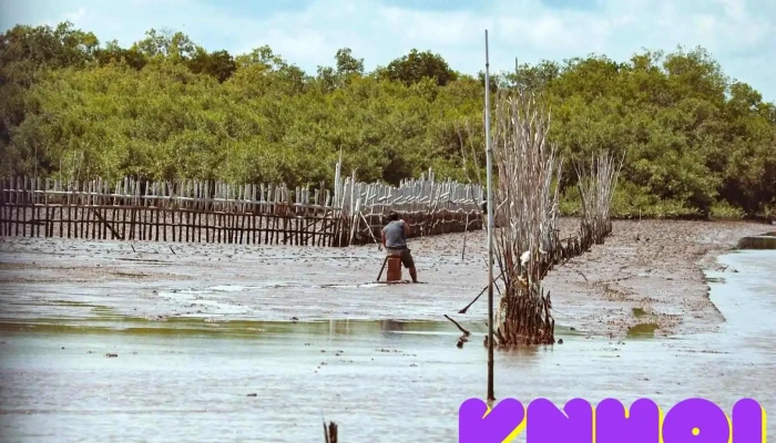 Làng Nổi An Biên - Kiên Giang