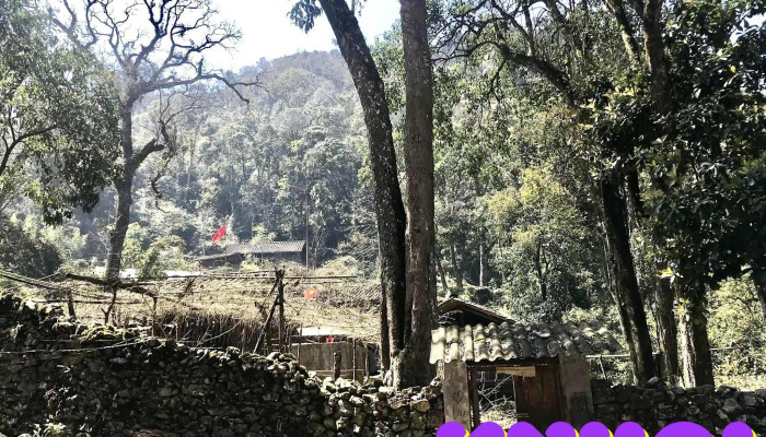 Lang Sao Ha Lang Dia Nguc Cua Chu So Huu - Hà Giang