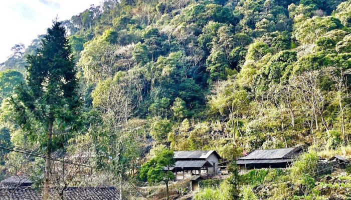Lang Sao Ha Lang Dia Nguc Tat Ca - Hà Giang