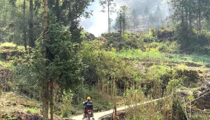 Lang Sao Ha Lang Dia Nguc Video - Hà Giang