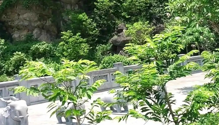 Lang Vua Le Dai Hanh Video - Ninh Bình