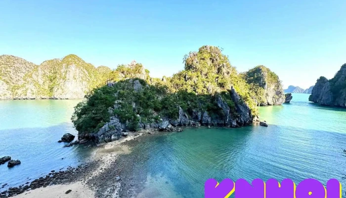 Langur's Adventures - Hải Phòng