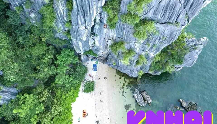 Langurs Adventures Cua Chu So Huu - Hải Phòng