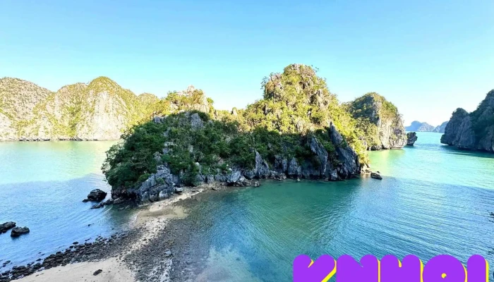 Langurs Adventures Tat Ca - Hải Phòng