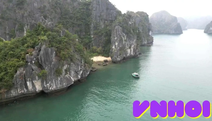 Langurs Adventures Video - Hải Phòng