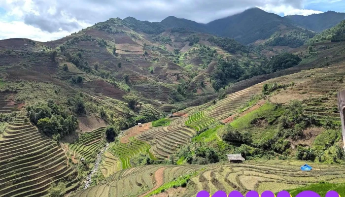 Lao Chai Viewpoint Moi Nhat - Yên Bái