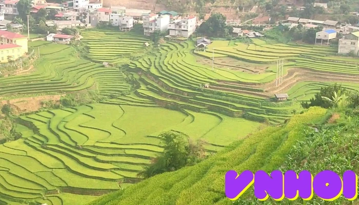 Lao Chai Viewpoint Video - Yên Bái