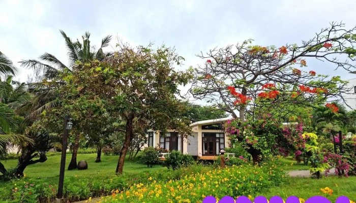Lazi Beach Resort Mom Da Chim Cua Khach Tro - Bình Thuận
