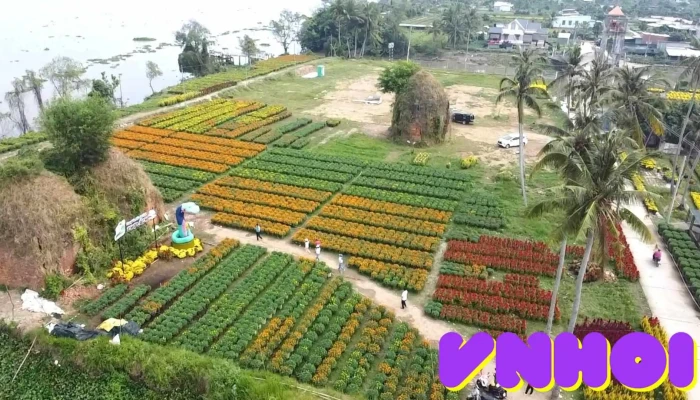 Lo Gach Co Tat Ca - Bến Tre