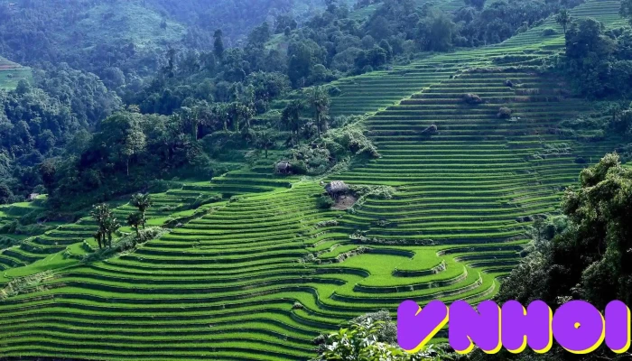 Local Ha Giang Tours Hotel Cua Khach Tro - Hà Giang
