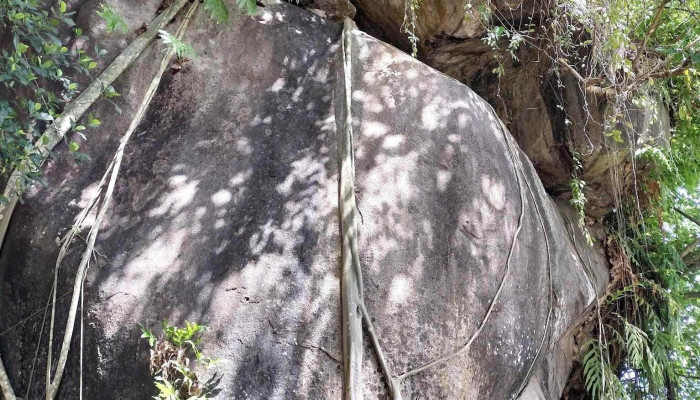 Long Ho Nui Sap Moi Nhat - An Giang