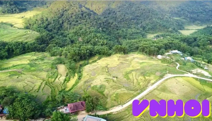 Lua Pu Luong -  Tat Ca - Thanh Hóa