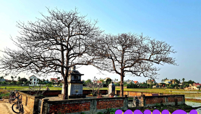 Lăng Bà Bổi - Đông Phong