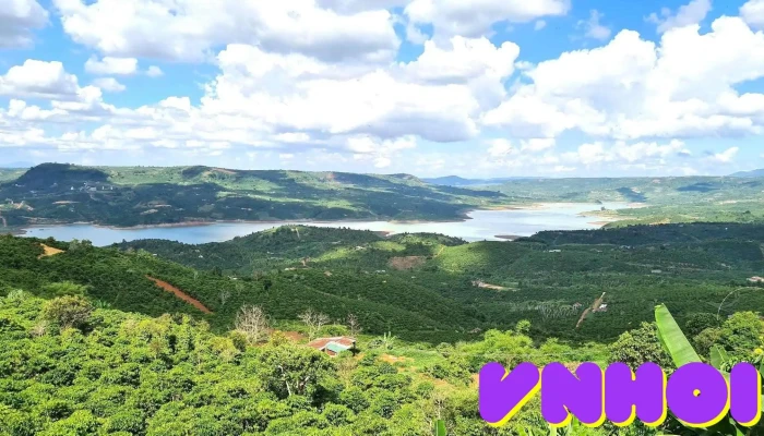 Macca Hill - Unnamed Road