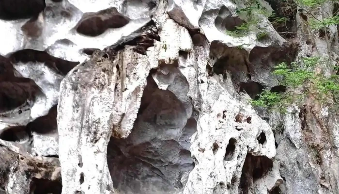 Mai Da Nguom Video - Thái Nguyên