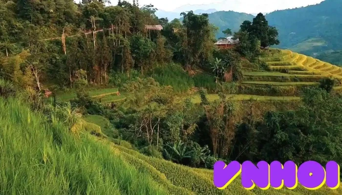 Mam Xoi Homestay Nui - Hà Giang