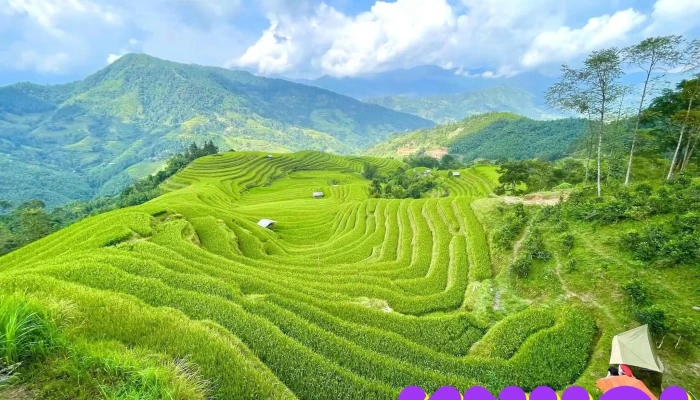 Mam Xoi Homestay Tat Ca - Hà Giang