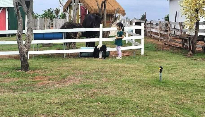 Mian Farm Binh Thuan Moi Nhat - Bình Thuận