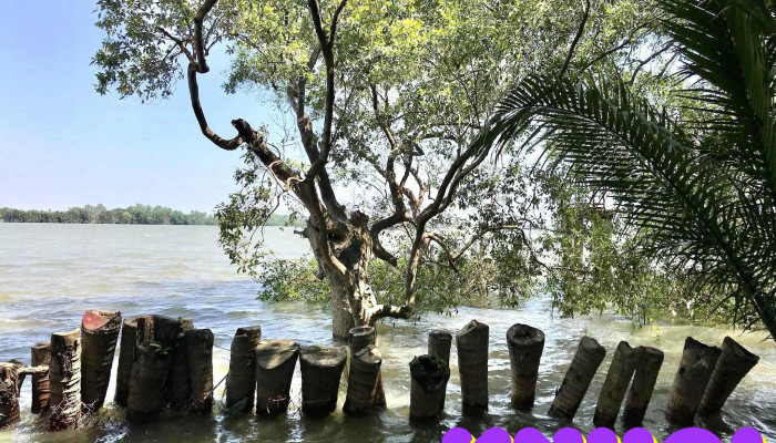Miếu Ông Bần Quỳ (Xá Hương) - Nhựt Ninh