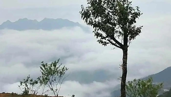 Mom Ca Heo Moi Nhat - Sơn La