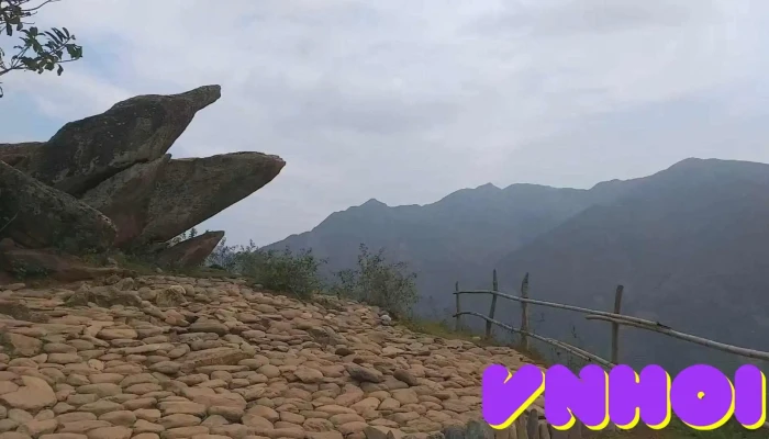 Mom Ca Heo Video - Sơn La