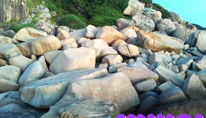 Mui Doi   Cuc Dong Tren Dat Lien Viet Nam Nui - Khánh Hòa