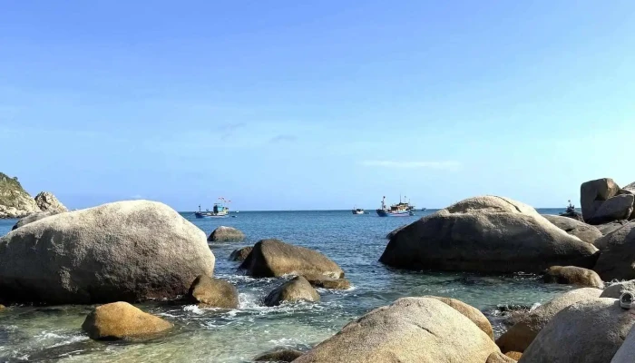 Mui Doi   Cuc Dong Tren Dat Lien Viet Nam Tat Ca - Khánh Hòa