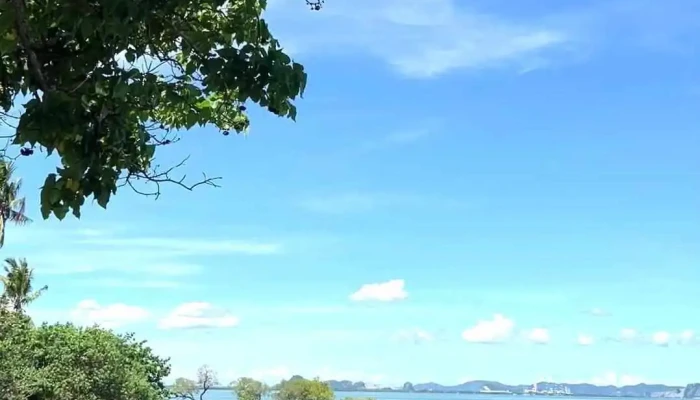 Mui Duong Hoa Video - Kiên Giang
