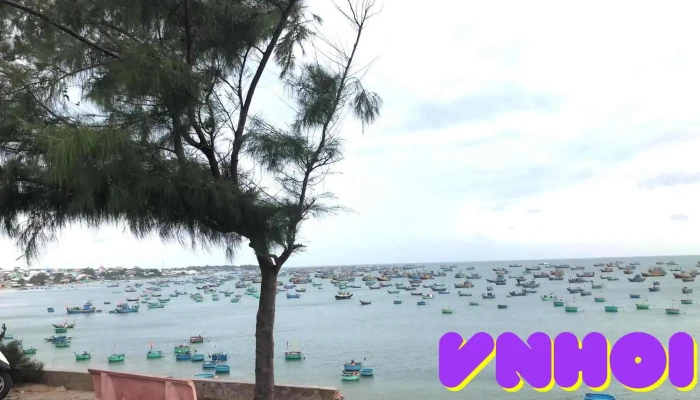 Mui Ne Fishing Harbour -  Bai Bien - Bình Thuận