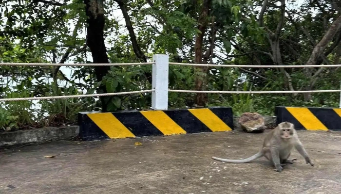 Mui Ong Doi Moi Nhat - Kiên Giang
