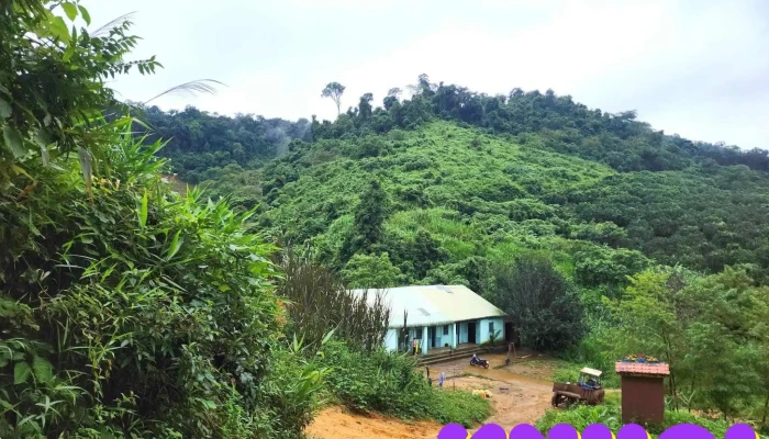 Măng Đen Discovery Retreat - Kon Plông