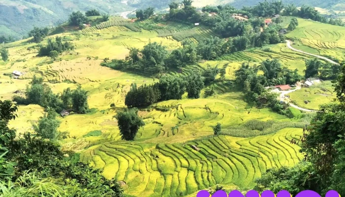 Mỏm đá sống ảo Y Tý _ms - Unnamed Road