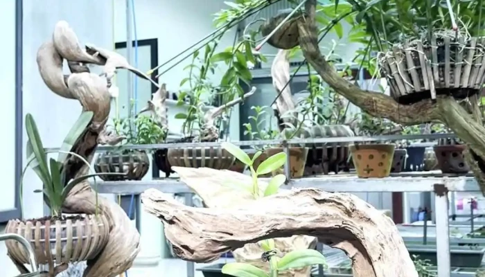 Nala Boutique Retreat -  Video - Hà Nội