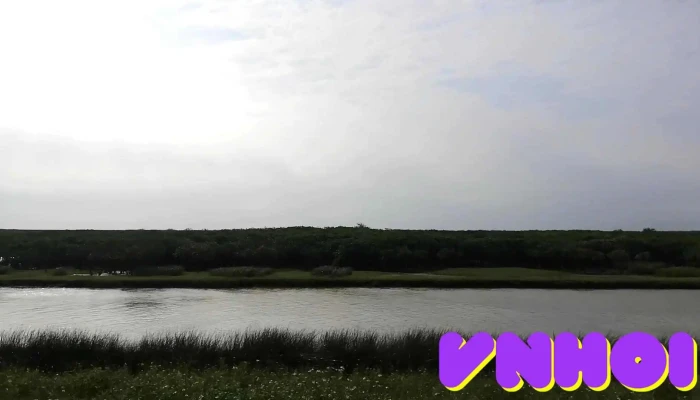 Nam Dien Video - Nam Định