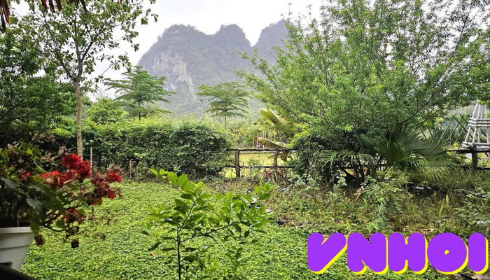 Nasan Green Farm -  Moi Nhat - Cao Bằng