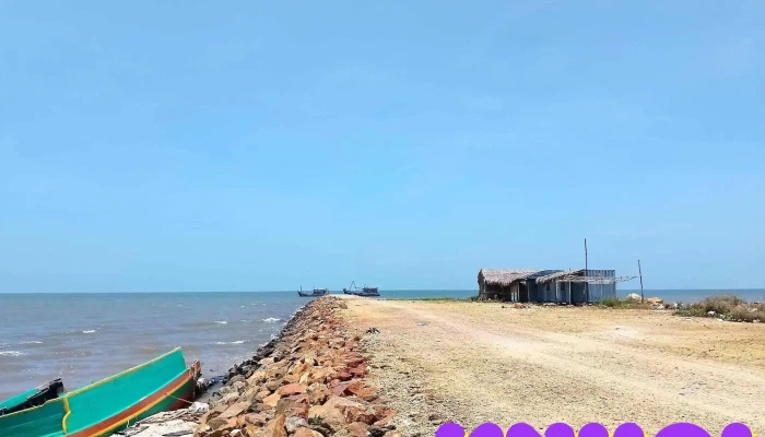 Nga 3 Phu My Cay Bang Tat Ca - Kiên Giang