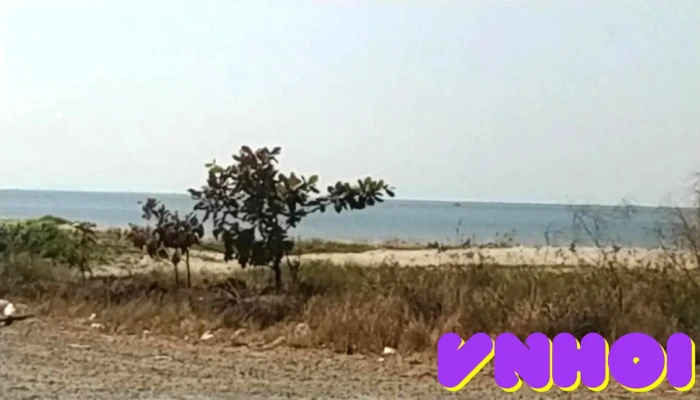Nga 3 Phu My Cay Bang Video - Kiên Giang