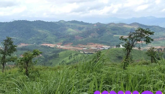 Ngã ba Đông Dương - Ta Veaeng Leu