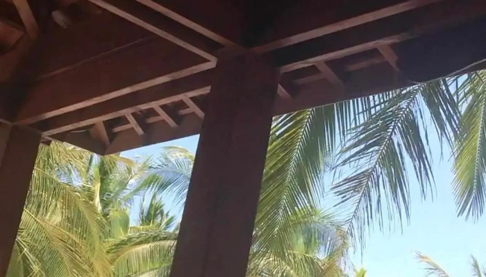Nga Tu Quan Canh Video - Bình Thuận