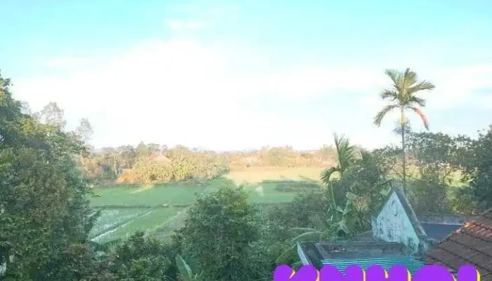Ngôi nhà màu xanh - Hải Quy